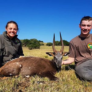 South Africa Hunting Bushbuck