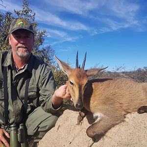 South Africa Hunt Duiker