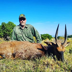 Bushbuck Hunting South Africa