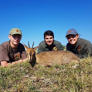 South Africa Hunting Duiker