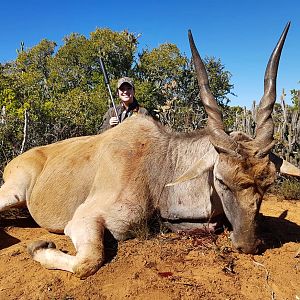 Eland Hunting South Africa