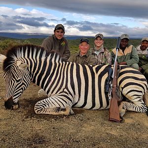 Hunt Burchell's Plain Zebra in South Africa