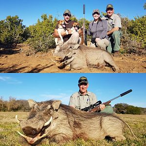 Warthog Hunt South Africa