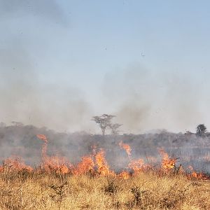 Controlled Fires Tanzania