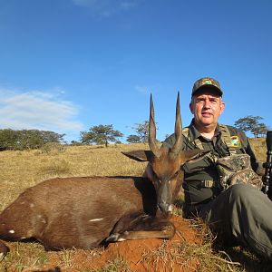 Bushbuck