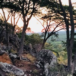 Zimbabwe Landscape