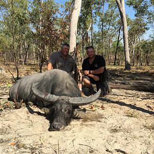 Asiatic Water Buffalo Hunting in Australia