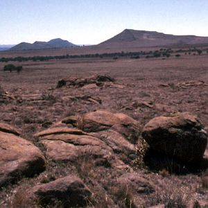 Zimbabwe Hunting Area