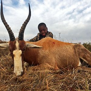 South Africa Hunt Blesbok