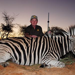 South Africa Hunt Burchell's Plain Zebra