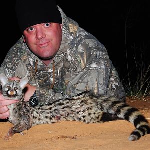 Genet Cat Hunting in South Africa
