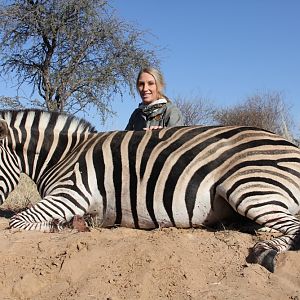 South Africa Hunt Burchell's Plain Zebra