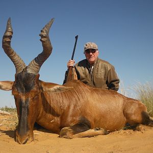 Hunt Red Hartebeest in South Africa