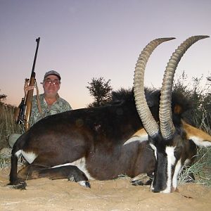 Sable Antelope Hunting South Africa