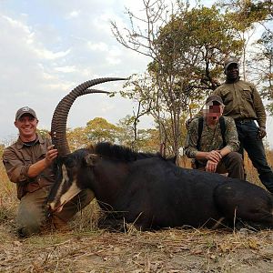 Hunting Sable Antelope in Tanzania