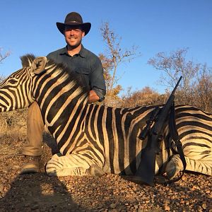 Burchell's Plain Zebra Hunting in South Africa