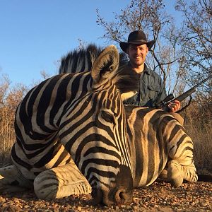 South Africa Hunt Burchell's Plain Zebra