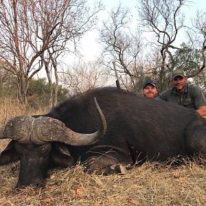 Hunting Cape Buffalo South Africa