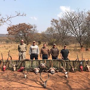 South Africa Hunt