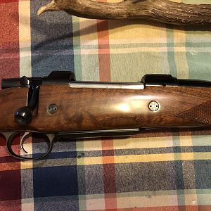 CZ 550 in 404 Jeffery Rifle