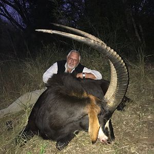 43" Inch + Sable Antelope Hunting South Africa