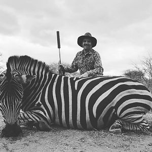 South Africa Hunt Burchell's Plain Zebra