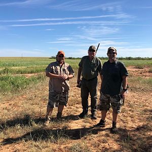 Opening Weekend Dove Hunt