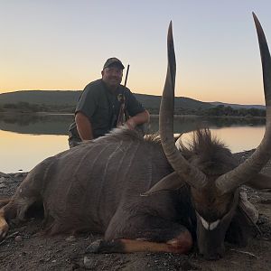 Nyala Hunting South Africa