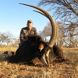 Sable Antelope Bow Hunting South Africa