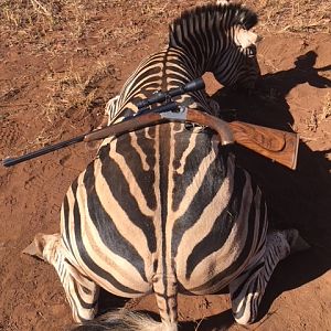 Hunting Burchell's Plain Zebra in South Africa