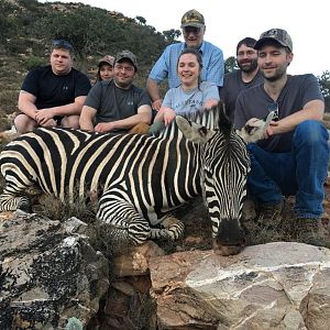 South Africa Hunting Burchell's Plain Zebra