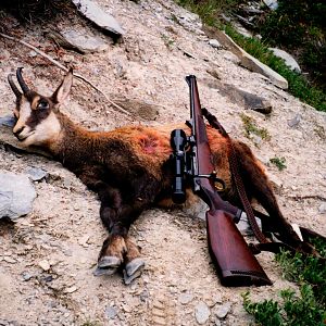 France Hunt Chamois