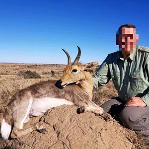 South Africa Hunting Mountain Rheedbuck