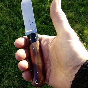 Mini Skinner Knife in Buffalo Horn and NZ Matai