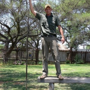 Black Mamba South Africa Huge Snake