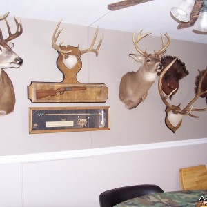 New Trophy Room