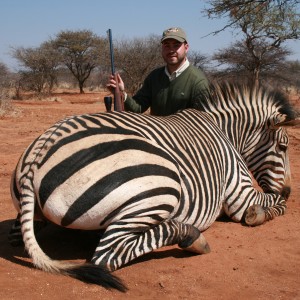 Hartmann Zebra, Namibia