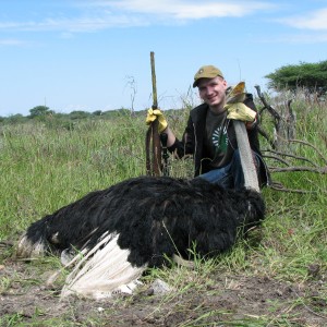 Hunting Ostrich in Namibia