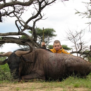 Hunting Wildebeest in Namibia