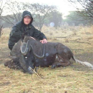 Hunting Black Wildebeest in Namibia