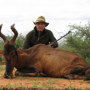 Hunting Hartebeest in Namibia