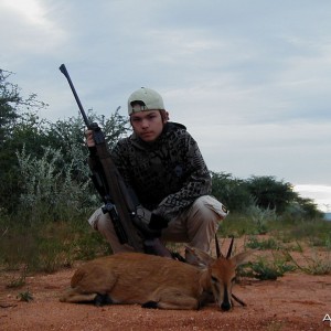 Hunting Duiker in Namibia