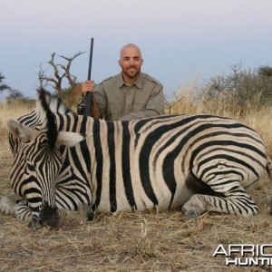 Hunting Zebra in Namibia