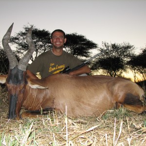 Hunting Hartebeest in Namibia