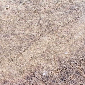 Rock carvings at Ozondjahe Hunting Safaris, Namibia