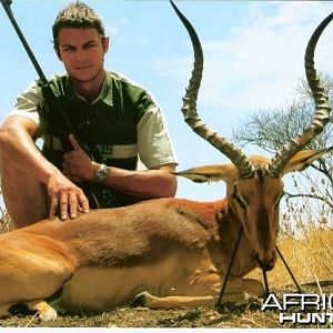 26.25 inch Impala Limpopo