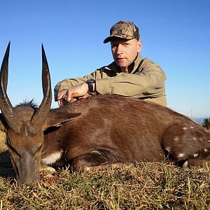 Hunting Bushbuck South Africa