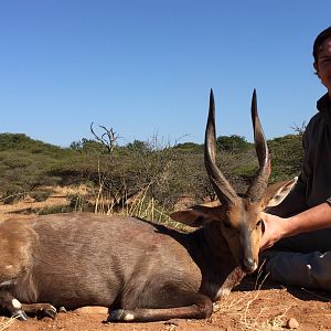 Hunt Bushbuck South Africa