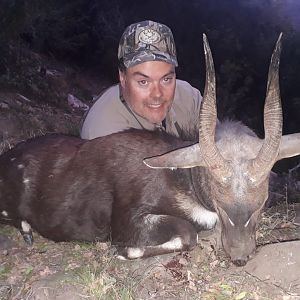 Hunting Bushbuck in South Africa