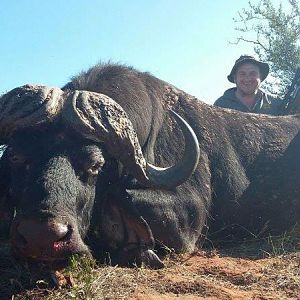 South Africa Hunting Cape Buffalo